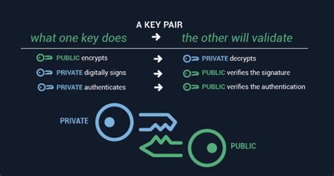 Public vs. Private Keys: